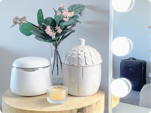 Sonic Pro beside flowers and mirror lights